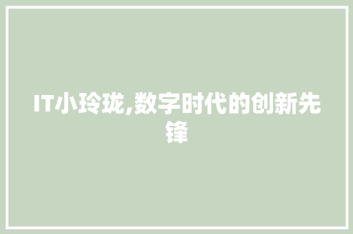 IT小玲珑,数字时代的创新先锋