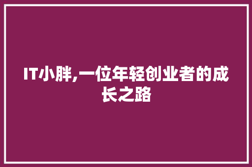 IT小胖,一位年轻创业者的成长之路