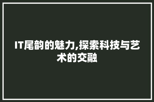 IT尾韵的魅力,探索科技与艺术的交融