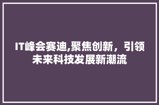 IT峰会赛迪,聚焦创新，引领未来科技发展新潮流