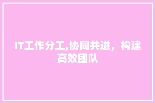 IT工作分工,协同共进，构建高效团队