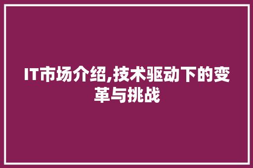 IT市场介绍,技术驱动下的变革与挑战 AI场景