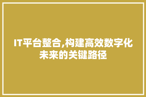 IT平台整合,构建高效数字化未来的关键路径 智能科技