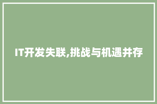 IT开发失联,挑战与机遇并存 软件技术