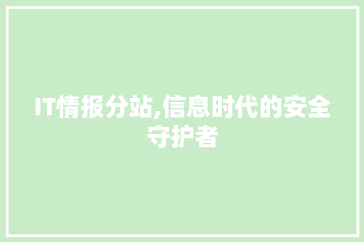 IT情报分站,信息时代的安全守护者 AI场景