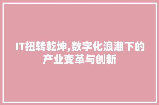 IT扭转乾坤,数字化浪潮下的产业变革与创新