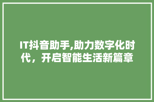 IT抖音助手,助力数字化时代，开启智能生活新篇章 人工智能