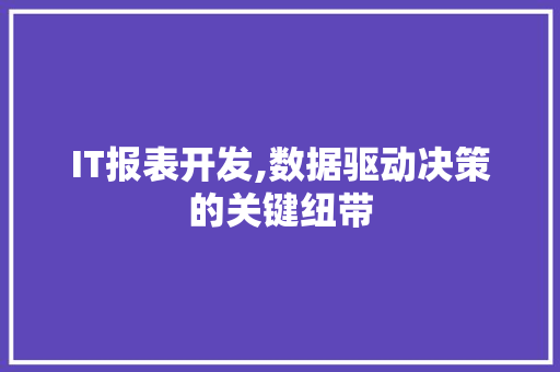 IT报表开发,数据驱动决策的关键纽带 AI场景