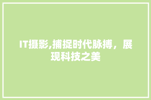 IT摄影,捕捉时代脉搏，展现科技之美 软件技术