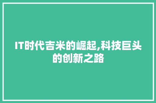 IT时代吉米的崛起,科技巨头的创新之路 软件技术