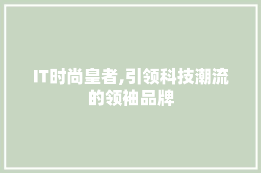IT时尚皇者,引领科技潮流的领袖品牌 智能科技