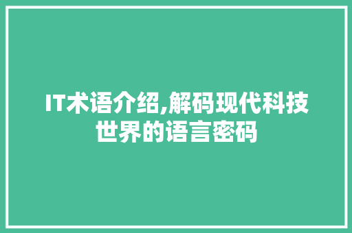 IT术语介绍,解码现代科技世界的语言密码