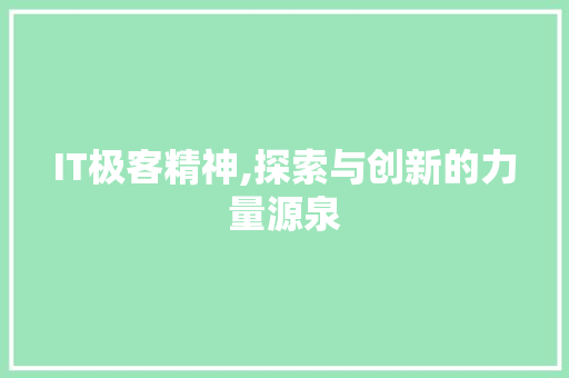 IT极客精神,探索与创新的力量源泉