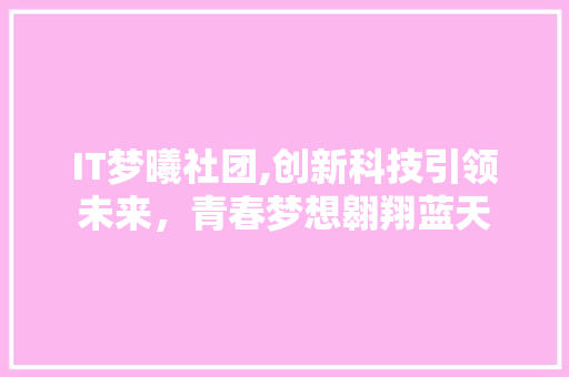 IT梦曦社团,创新科技引领未来，青春梦想翱翔蓝天 人工智能