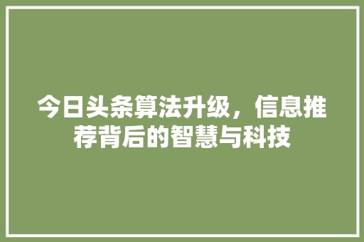 今日头条算法升级，信息推荐背后的智慧与科技