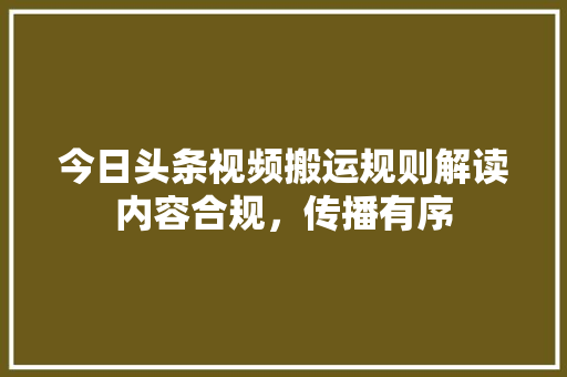 今日头条视频搬运规则解读内容合规，传播有序 软件技术