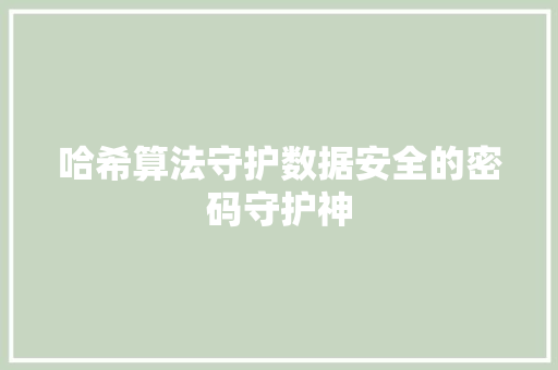 哈希算法守护数据安全的密码守护神