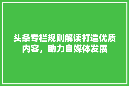 头条专栏规则解读打造优质内容，助力自媒体发展 人工智能