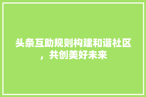 头条互助规则构建和谐社区，共创美好未来 智能科技