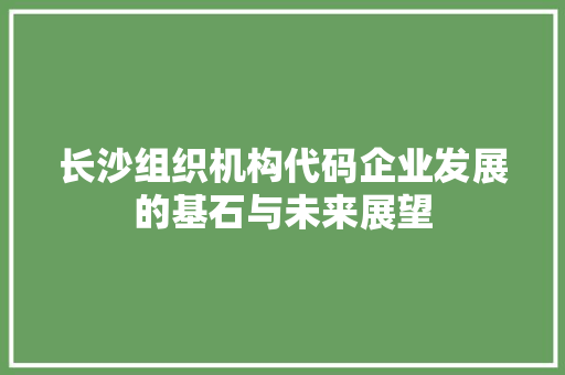 长沙组织机构代码企业发展的基石与未来展望