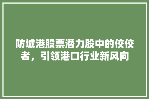 防城港股票潜力股中的佼佼者，引领港口行业新风向