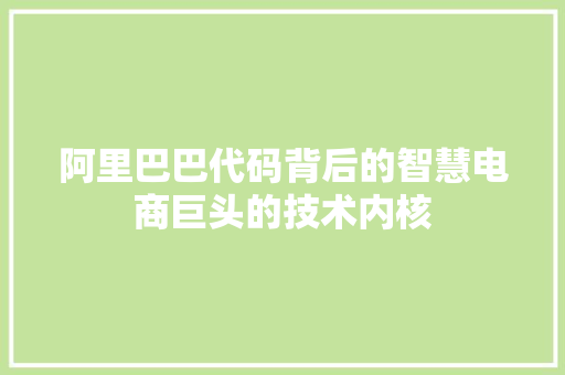 阿里巴巴代码背后的智慧电商巨头的技术内核