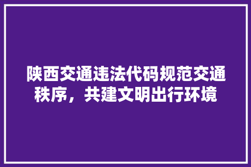陕西交通违法代码规范交通秩序，共建文明出行环境 软件技术