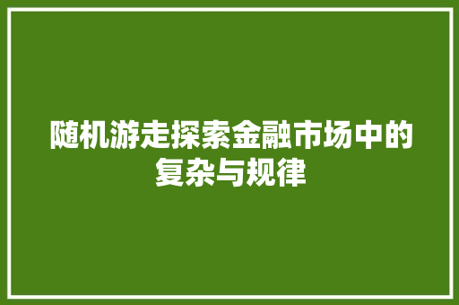 随机游走探索金融市场中的复杂与规律
