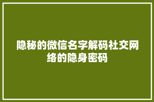 隐秘的微信名字解码社交网络的隐身密码