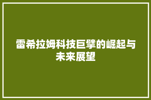 雷希拉姆科技巨擘的崛起与未来展望 软件技术
