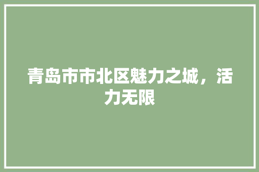 青岛市市北区魅力之城，活力无限 智能科技