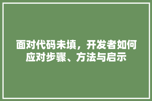 面对代码未填，开发者如何应对步骤、方法与启示 软件技术