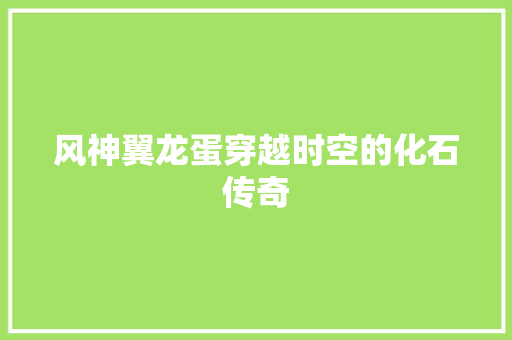 风神翼龙蛋穿越时空的化石传奇 软件技术