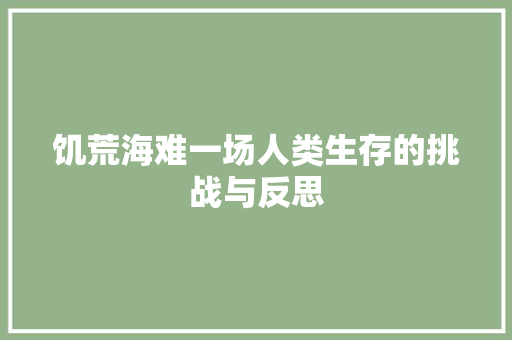 饥荒海难一场人类生存的挑战与反思