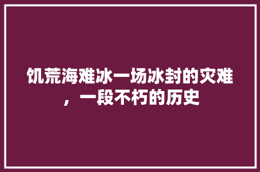 饥荒海难冰一场冰封的灾难，一段不朽的历史