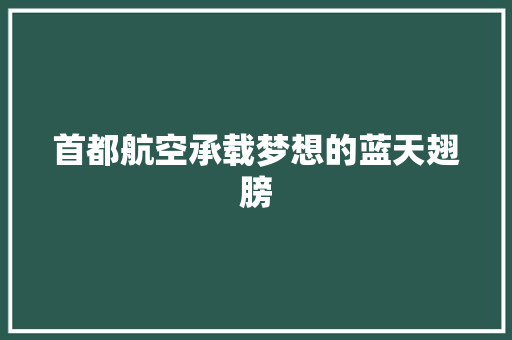 首都航空承载梦想的蓝天翅膀 智能科技
