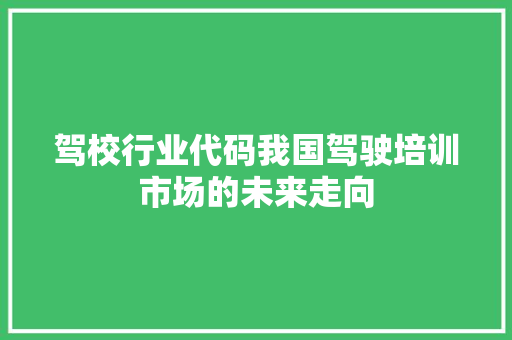 驾校行业代码我国驾驶培训市场的未来走向 软件技术