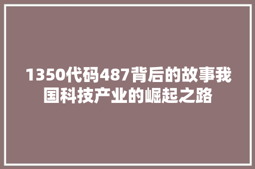 1350代码487背后的故事我国科技产业的崛起之路 软件技术