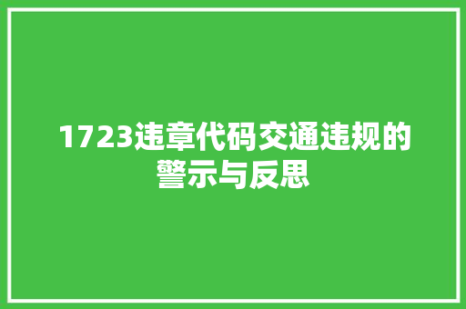 1723违章代码交通违规的警示与反思 智能科技