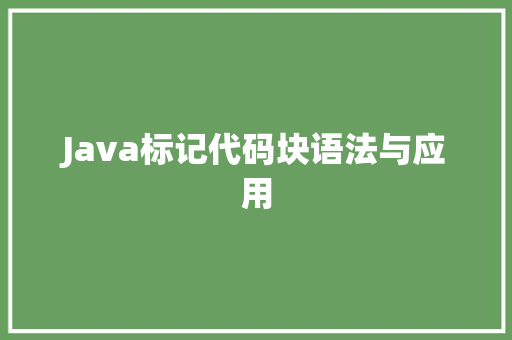 Java标记代码块语法与应用 软件技术