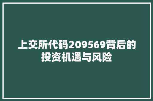 上交所代码209569背后的投资机遇与风险 AI场景