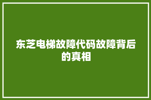 东芝电梯故障代码故障背后的真相 人工智能