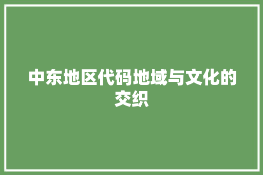 中东地区代码地域与文化的交织 AI场景