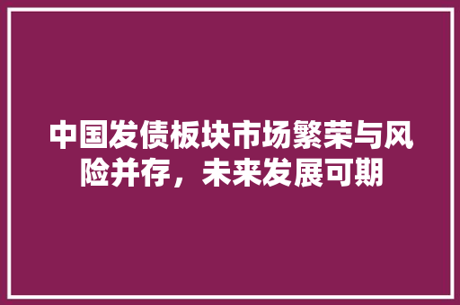 中国发债板块市场繁荣与风险并存，未来发展可期 智能科技