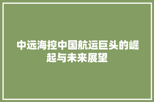 中远海控中国航运巨头的崛起与未来展望 AI场景