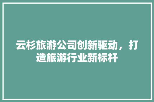 云杉旅游公司创新驱动，打造旅游行业新标杆