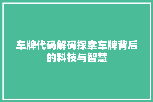 车牌代码解码探索车牌背后的科技与智慧