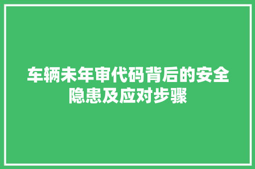 车辆未年审代码背后的安全隐患及应对步骤