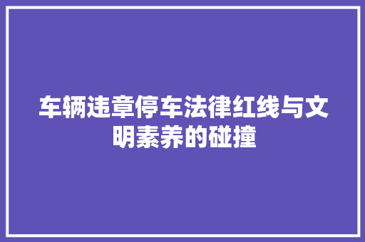 车辆违章停车法律红线与文明素养的碰撞