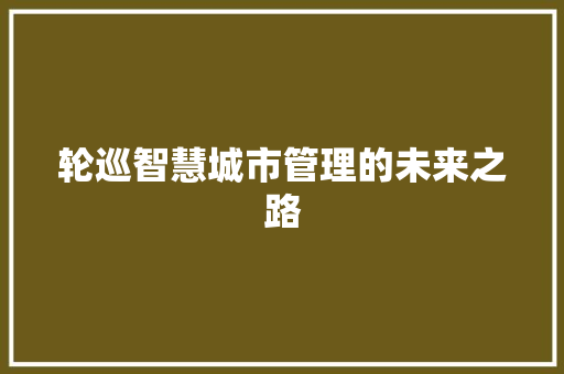 轮巡智慧城市管理的未来之路